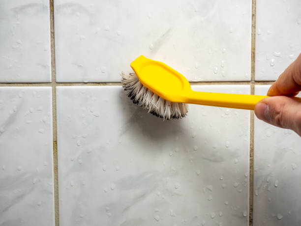 Best Localized Mold Remediation (e.g., coastal areas, humid climates) in Colusa, CA