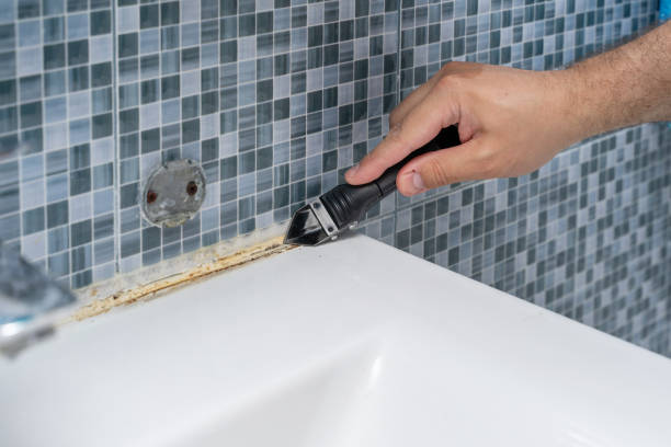 Best Kitchen Mold Remediation in Colusa, CA