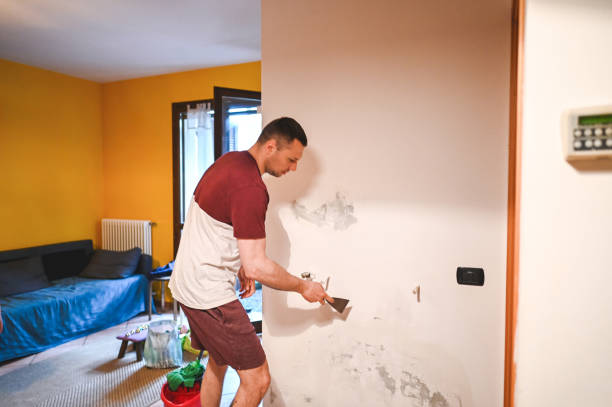 Best Mold Remediation for Specific Building Types in Colusa, CA